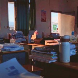 我们在夏枝繁茂时再见