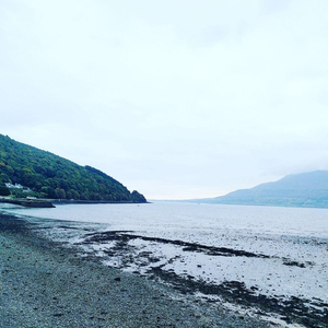 They All Sang the Internationale (Live)