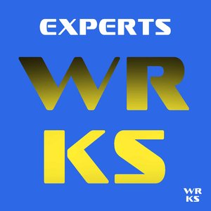 Experts (Radio Edit)