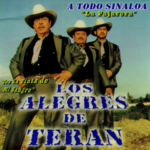 Maldiciendo Mi Destino