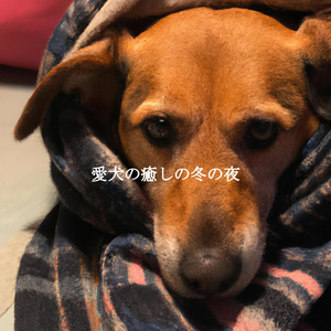 Grand Electric and Acoustic Piano - Vibe for Evening Time