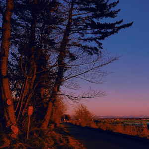 月見酒 其之五 (Instrumental)