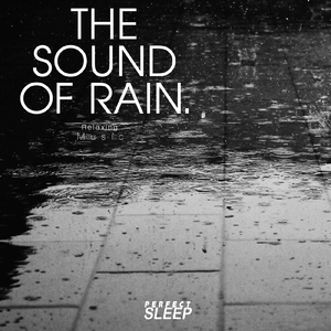 아스팔트위의 빗방울