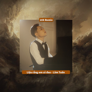 Liệu Rằng Em Có Đau (20X Remix)