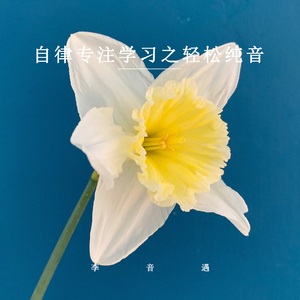 自律专注学习