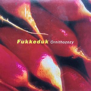 Wrong Country (feat. Nick Didkovsky)