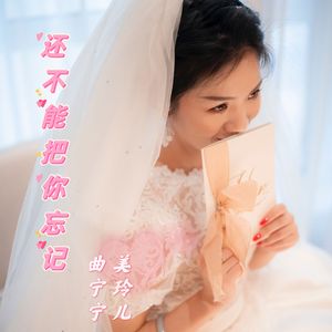 还不能把你忘记 伴奏