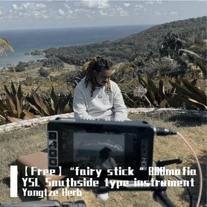 【Free】“careofdie“ pvlace type instrument