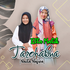 Tarohabna (Naila Najwa)