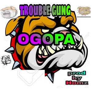 Ogopa