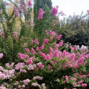 东北的冬1675072978642_211852_track0_211852