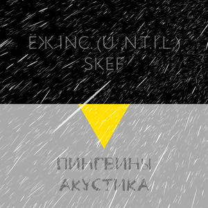 Пингвины (Акустика)