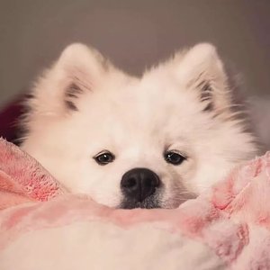 立剑（一念关山）.wav