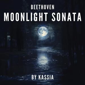 Moonlight Sonata 3rd Movement (Piano Sonata No. 14 in C-Sharp Minor, Op. 27, No. 2: III. Presto agitato)