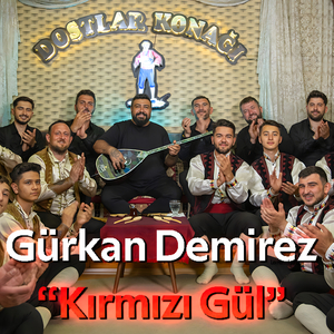Kırmızı Gül (Dostlar Konağı)