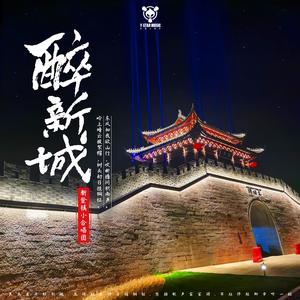 醉新城(剪辑版)