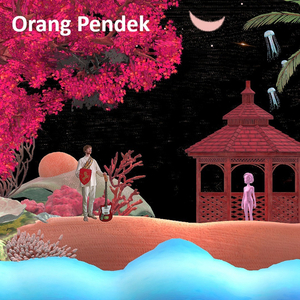 Nimimerkki uglyduckling