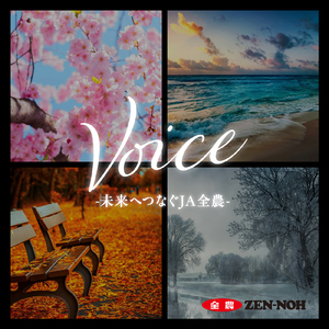 Voice