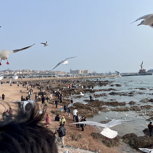 你出现在我的梦境里