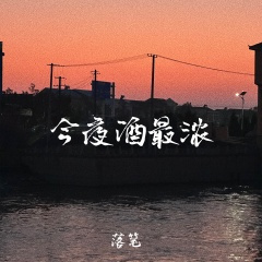 今夜酒最浓 (DJ默涵版)