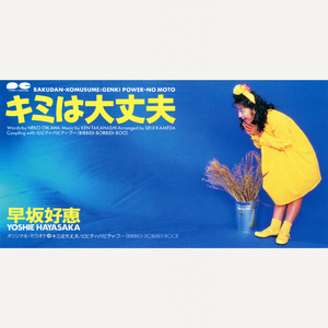 ビビディ・バビディ・ブー BIBBIDIーBOBBIDIーBOO