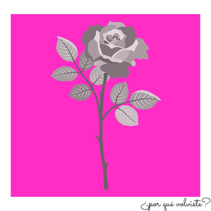 ¿por qué volviste?