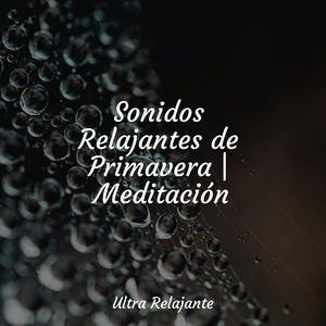 Rocío Ámbar Matutino