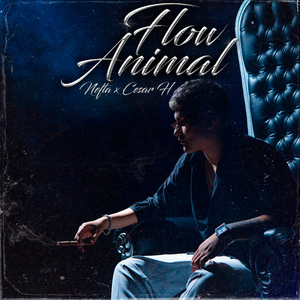 Flow Animal