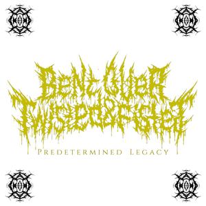 Walk Towards the Light and There, Darkness Will Appear