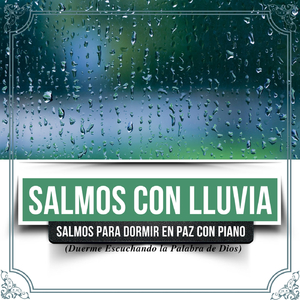Salmo 8:9 Y Más (Salmos Para Dormir En Paz Profundamente Con Música Para Orar)