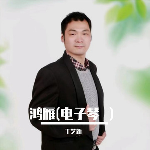 大飞雁南(电子琴）