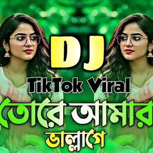 Tore Amar Vallage Dj তোরে আমার ভাল্লাগে (Hard Dj)