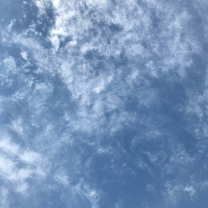悲しげな琴の音色