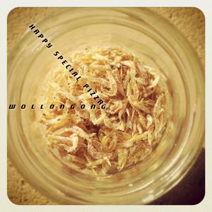 The Cactus That Would Not Stop Growing