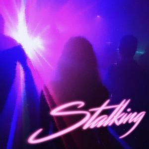 Stalking (feat. Soslesion)