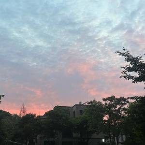 坠夜