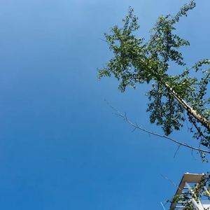 别渴望【Cover老田】