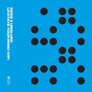 Levitate Your Mind (VIP)