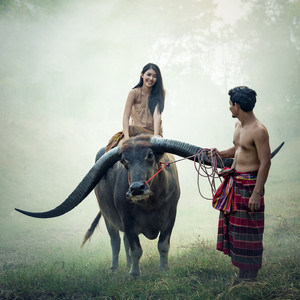 Yall know what this is