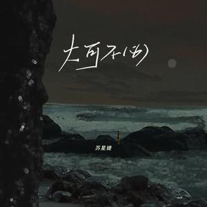 大可不必 (DJ铁柱版)