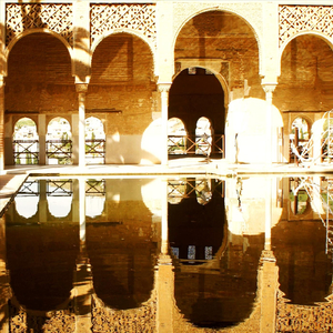 Belly Dance Queen Magic