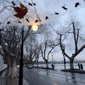 叹云兮（Cover 鞠婧祎）