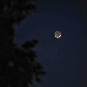 春风不问（影视剧《大梦归离》人间曲（翻唱））