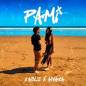 PaMi