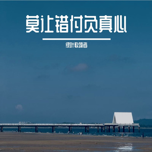 莫让错付负真心