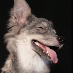 人不是突然变的