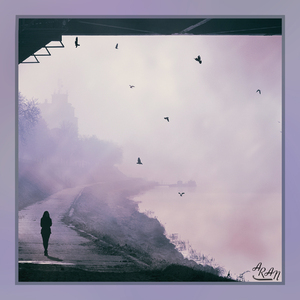 모진 바람