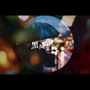 黑凤梨x喜欢你x干物女xStarduster