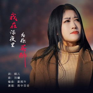 我在深夜里为你买醉-DJ版