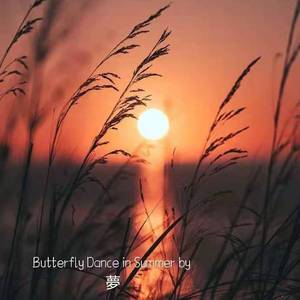 彩蝶舞夏
